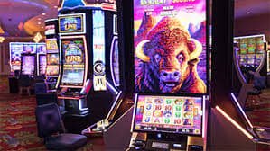 7788bet3